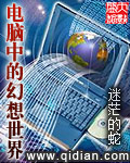 電腦中的幻想世界小说封面