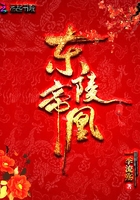 東陵帝凰小說封面