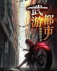 武遊都市小說封面
