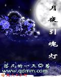 月夜引魂燈小说封面